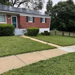 grass maintenance by WeHaul Lawn Care and Junk Removal reviewed on April 17, 2024