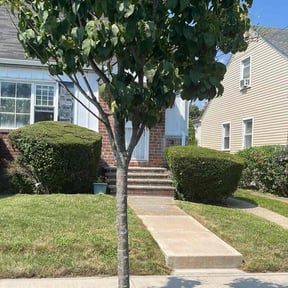 Bush Trimming by Before&amp;AfterLawncare..... Rachael Toles reviewed on August 15, 2025