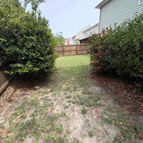 Bush Trimming by DC Lawn treatment LLC reviewed on April 9, 2026