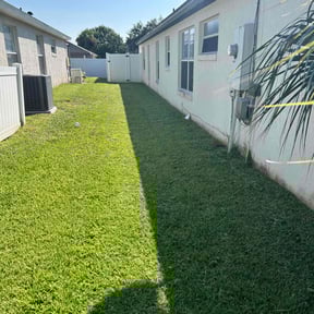 landscaping by Jose Perez Landscaping reviewed on August 21, 2025