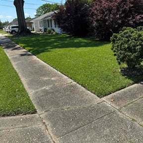 landscaping by AnnaMaries Home and Lawn Care Services reviewed on August 19, 2025