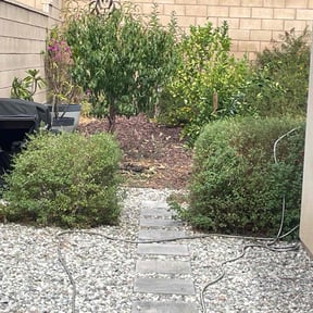 Bush Trimming by All Mowing Services reviewed on November 19, 2025