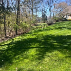 landscape maintenance by Florida's Finest Property Maintenance reviewed on August 20, 2025