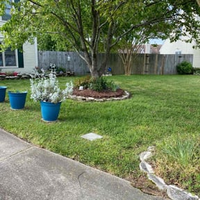 gardening service by ABC Complete Lawn Care And More reviewed on August 15, 2025