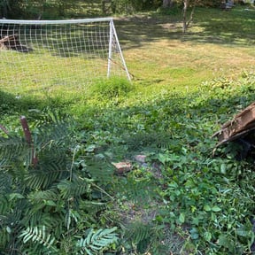 Bush Trimming by CUT Tulsa Lawn Co. reviewed on November 19, 2025