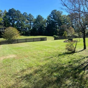 yard maintenance by JA Performance Outdoor Services reviewed on August 17, 2025