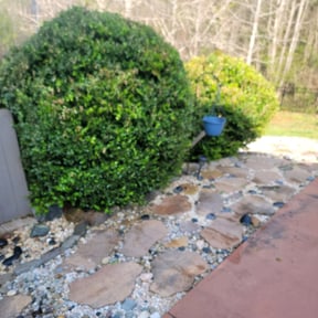 Bush Trimming by To The Rescue Landscaping and Hurricane Clean Up reviewed on August 18, 2025