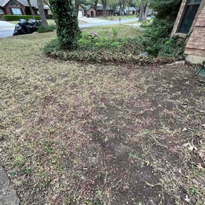 Leaf Removal by Trusty Trade Co. reviewed on July 4, 2026