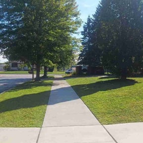 landscaping by Green Earth Lawn and snow LLC reviewed on August 21, 2025