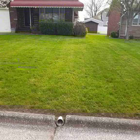 landscape maintenance by Fisher's Lawn services reviewed on August 16, 2025