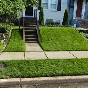 yard service by Universal services rcr LLC reviewed on August 18, 2025