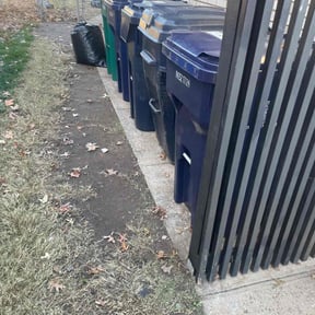 Leaf Removal by Benito Lawn Mowing Services reviewed on December 6, 2025