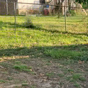 Leaf Removal by Tri_County Outdoors reviewed on September 26, 2025