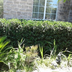 Bush Trimming by Nathan's lawn care reviewed on August 18, 2025