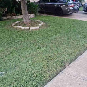 yard work by Fat Cat Landscaping reviewed on August 19, 2025