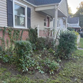 Bush Trimming by Garden Upgrade Lawn Care reviewed on November 22, 2025