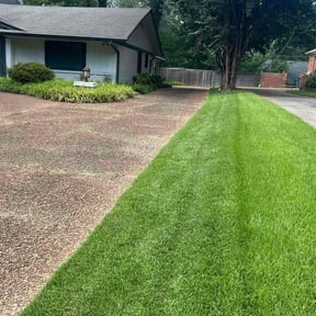 landscaping by B&C Lawn and Landscaping LLC reviewed on August 21, 2025