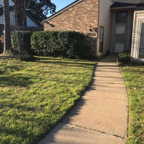 Bush Trimming by GOT GRASS? LLC reviewed on August 17, 2025