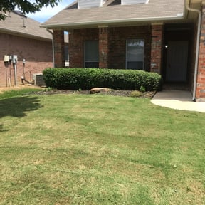 Bush Trimming by Robs lawn care reviewed on March 15, 2024