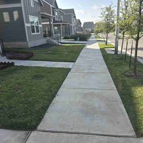 grass cutting by Triple S Cuts & Cleanouts reviewed on June 27, 2025