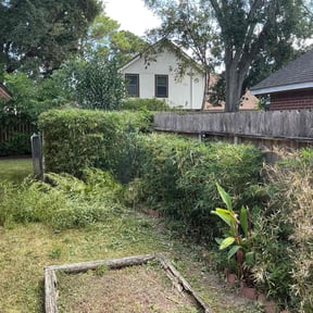 Bush Trimming by Robinson Lawn and landscape reviewed on April 25, 2026