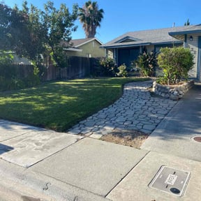 turf care by Juan Rodriguez reviewed on July 2, 2025