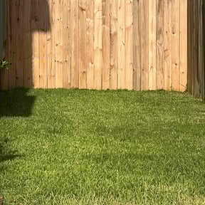 yard care by Duran Sr. Services reviewed on August 17, 2025