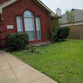 Bush Trimming by Xtra Care Lawn Service reviewed on November 24, 2025