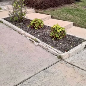 Bush Trimming by Green Earth Lawn and snow LLC reviewed on August 17, 2025