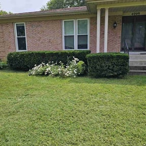 Bush Trimming by JBI Property Service LLC reviewed on August 18, 2025