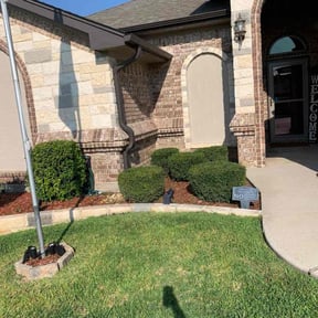 Bush Trimming by EOW 618 lawn care reviewed on February 11, 2026