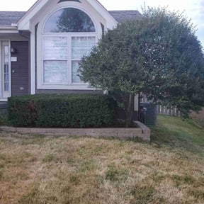 Bush Trimming by RC property maintenance reviewed on August 20, 2025