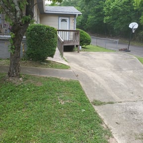 Bush Trimming by City mowing reviewed on August 16, 2025