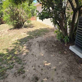 Leaf Removal by Junk by Day Gone by Night reviewed on May 6, 2026