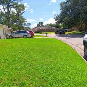 landscaping services by A-One Lawn Care Services reviewed on August 20, 2025