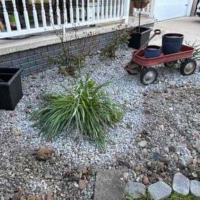 Flower Bed Weeding by Scott and son landscape reviewed on May 10, 2026