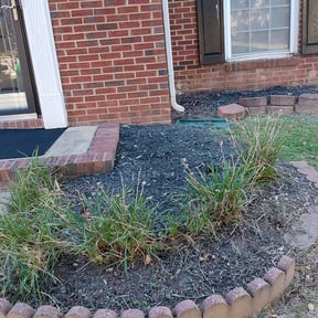 Bush Trimming by ProGreenlq reviewed on August 21, 2025