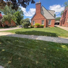 landscaping services by Roy's Mowing Service reviewed on August 18, 2025