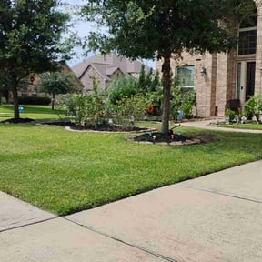 yard service by Wright Cut reviewed on August 16, 2025