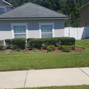 Bush Trimming by Torres INC reviewed on August 21, 2025