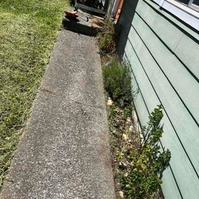 Flower Bed Weeding by Next Door Lawn Care &amp; More llc reviewed on May 25, 2026