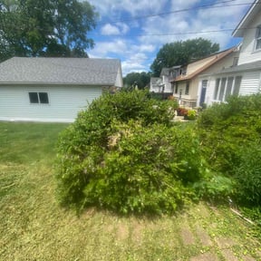 Bush Trimming by M&J LAWNSERVICE reviewed on August 17, 2025