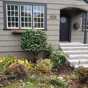 Bush Trimming by Lawncare By the beach reviewed on August 16, 2025