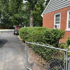 Bush Trimming by Fribourg Lawn Care reviewed on August 30, 2026