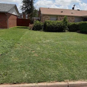 Bush Trimming by Keep it trim mowing company reviewed on July 19, 2026