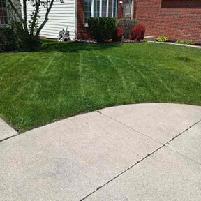 landscaping services by Blackhorse industries reviewed on August 16, 2025