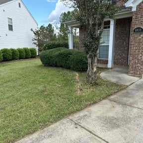 Bush Trimming by Clover construction LLC reviewed on August 15, 2025