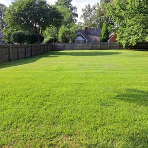 landscaping by Haus Property Management reviewed on August 17, 2025