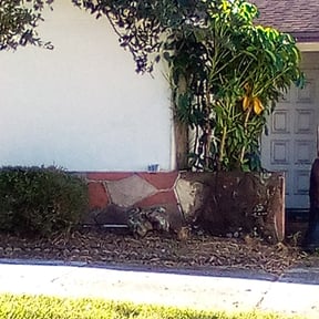 Bush Trimming by Lopez Property Services Inc. reviewed on November 24, 2025