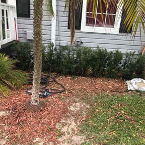 Bush Trimming by Express lawn services reviewed on August 18, 2025